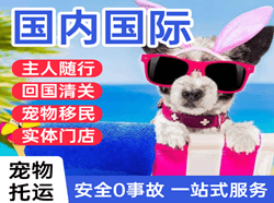 呼和浩特机场快递国际宠物托运 【国